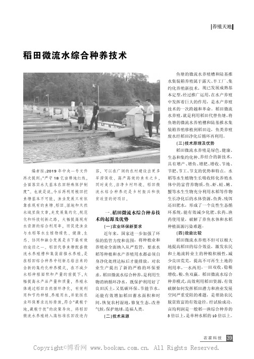 稻田微流水综合种养技术