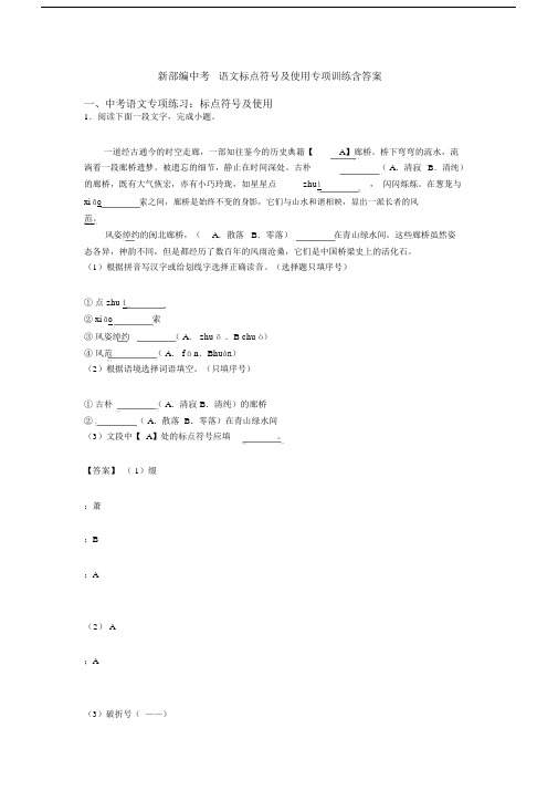 新部编中考语文标点符号及使用专项训练含答案.docx