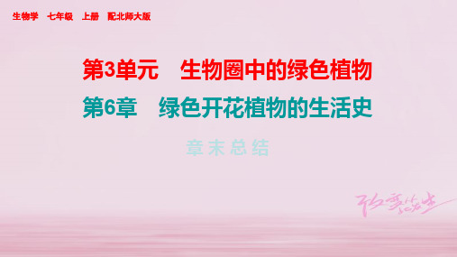 2019年秋七年级北师大版生物上册课件：第6章 章末总结 (共18张PPT)