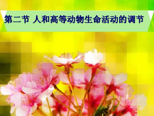 人体激素调节调节