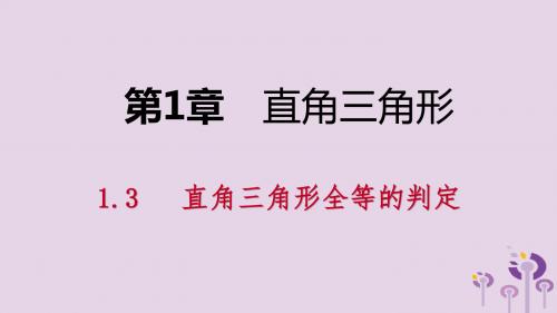 八年级数学下册 第1章 直角三角形 1.3 直角三角形全等