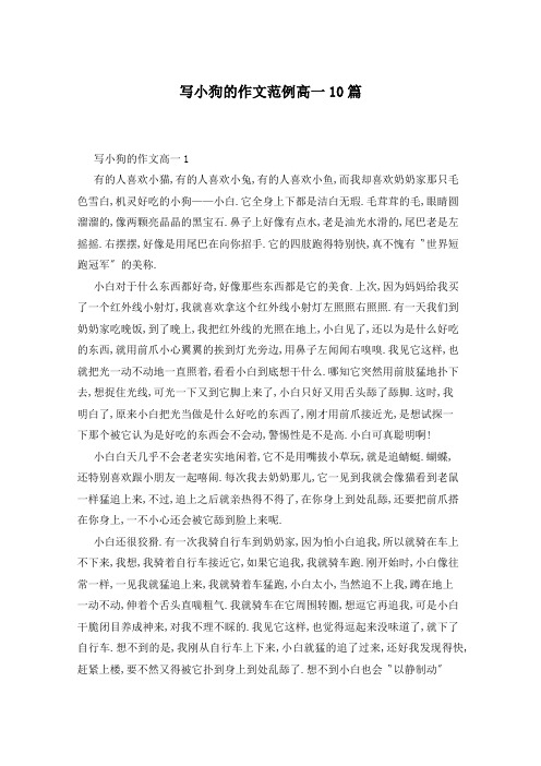 写小狗的作文范例高一10篇