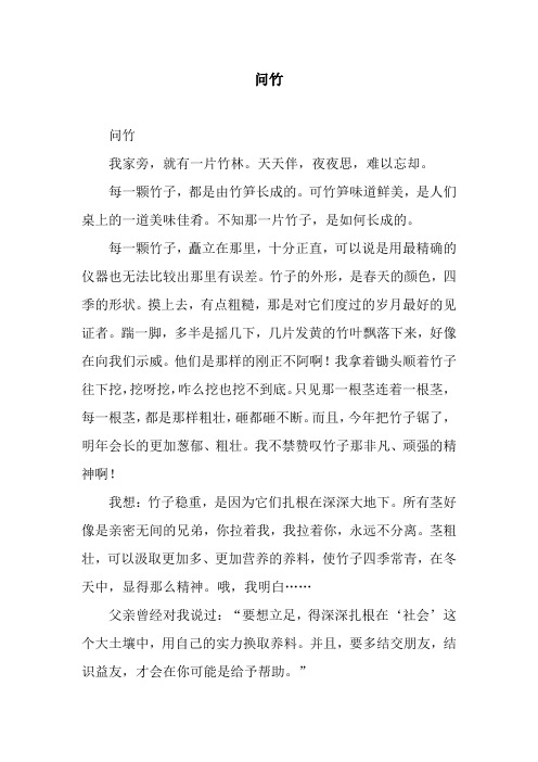 问竹