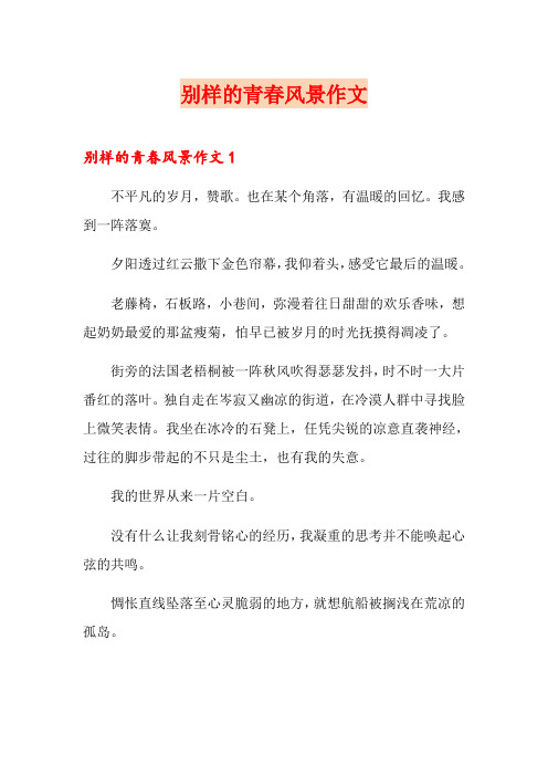 别样的青春风景作文