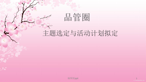 品管圈主题选定PPT课件