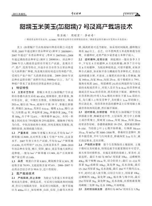 甜糯玉米美玉(加甜糯)7号及高产栽培技术