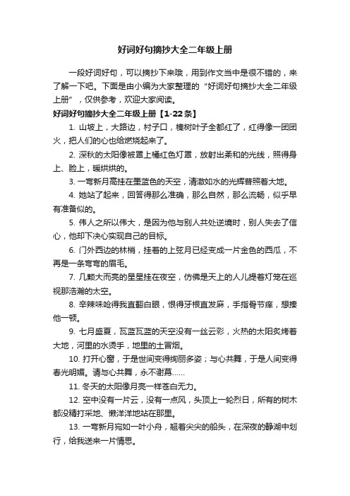 好词好句摘抄大全二年级上册