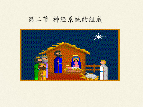 七年级生物下册课件-4.6.2 神经系统的组成12-人教版