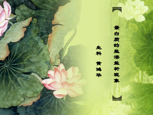 蛋白质的盐溶盐析现象