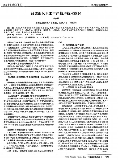 吕梁山区玉米丰产栽培技术探讨