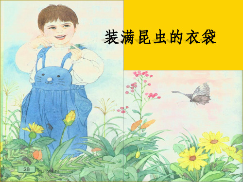 五级上册语文课件-装满昆虫的衣袋｜苏教版ppt文档