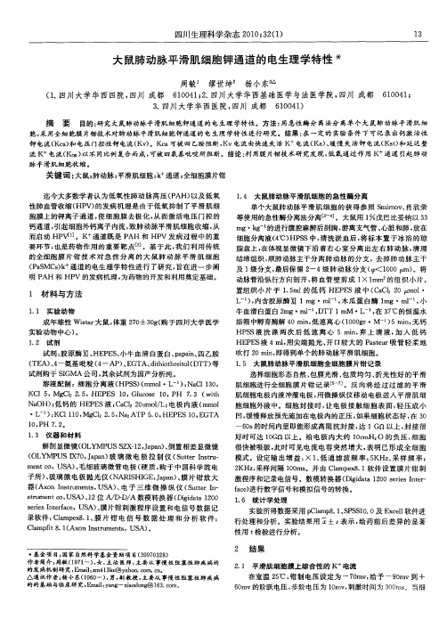 大鼠肺动脉平滑肌细胞钾通道的电生理学特性