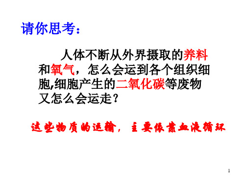 血液的成分及功能ppt课件