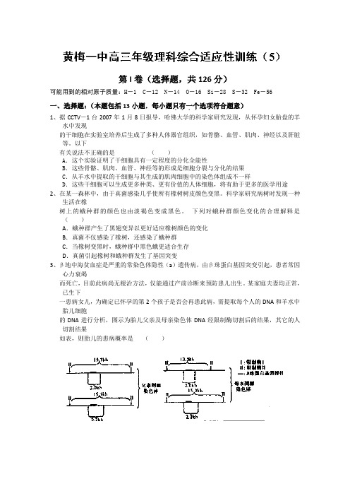 湖北省黄冈市黄梅一中2014届高三上学期适应性训练(五)理科综合试题 Word版含答案