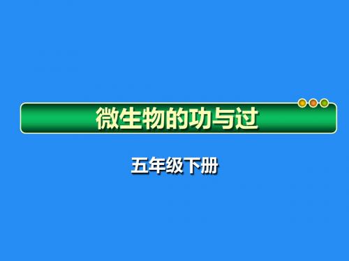 3.4微生物的功与过 课件.