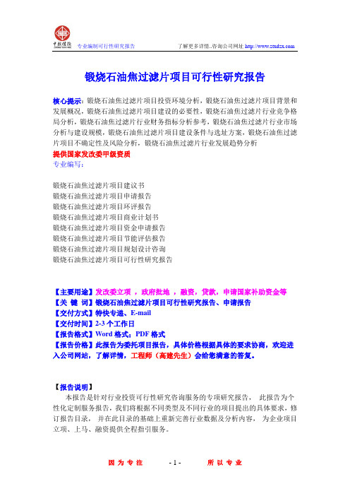 锻烧石油焦过滤片项目可行性研究报告