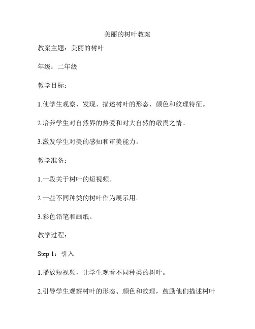 美丽的树叶教案