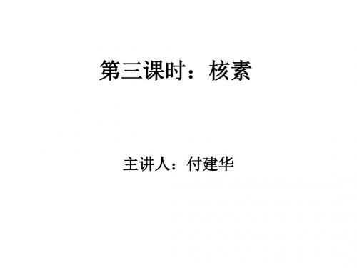 高一化学核素(2019年)