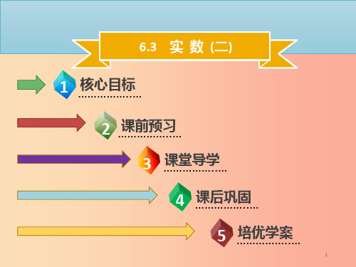 七年级数学下册 第六章 实数 6.3 实数(二)课件  新人教版PPT