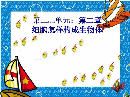 七年级生物上册 第二单元 第二章 细胞怎样构成生物体复习课件
