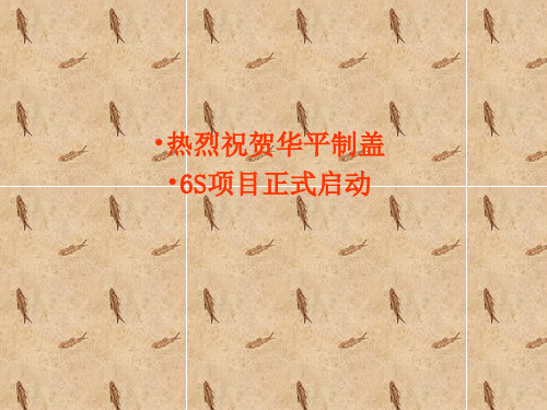 5s启动大会-PPT精选文档