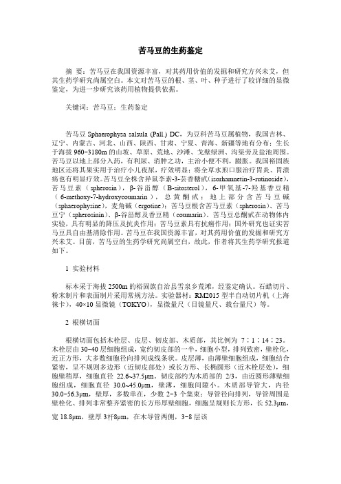 苦马豆的生药鉴定
