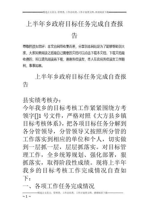 上半年乡政府目标任务完成自查报告