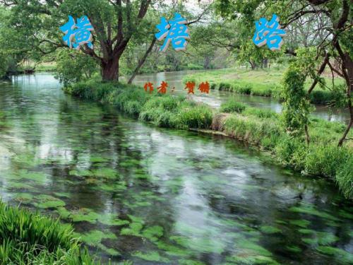 横塘路·凌波不过横塘路 PPT课件3