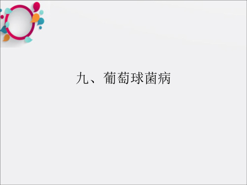 《葡萄球菌病》PPT课件