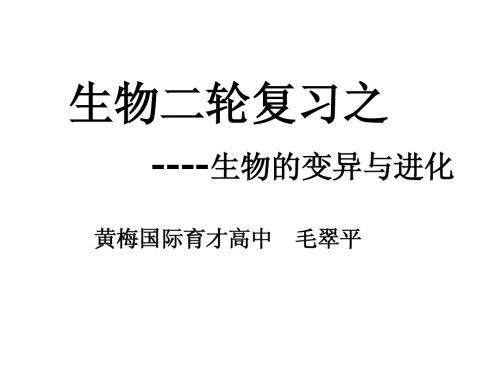 修改黄梅国际育才毛翠平老师变异与进化说课课件