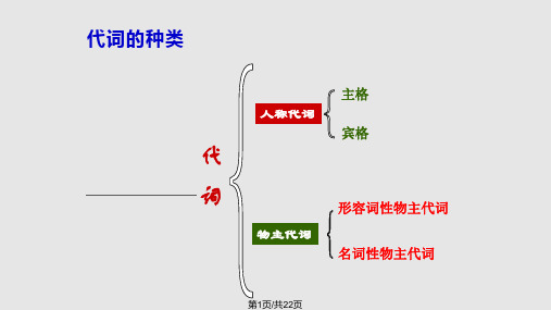 人称代词主格和宾格形物代名物代解析PPT课件