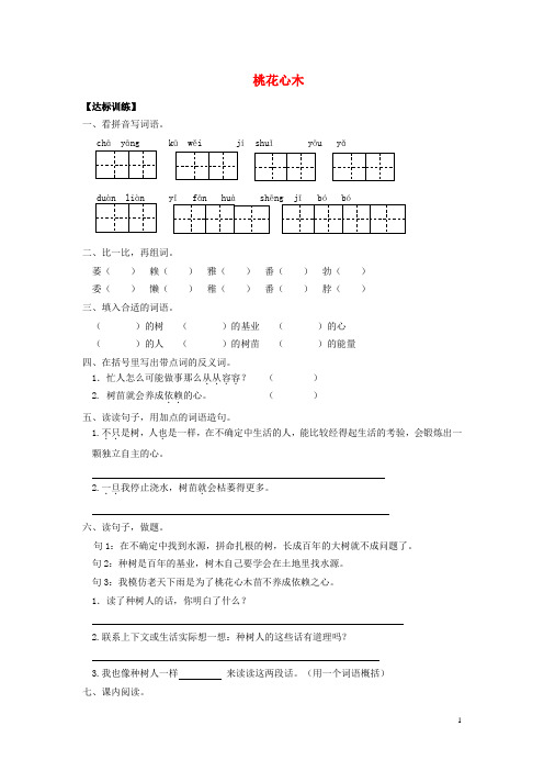 六年级语文下册 桃花心木练习题(无答案) 新人教版