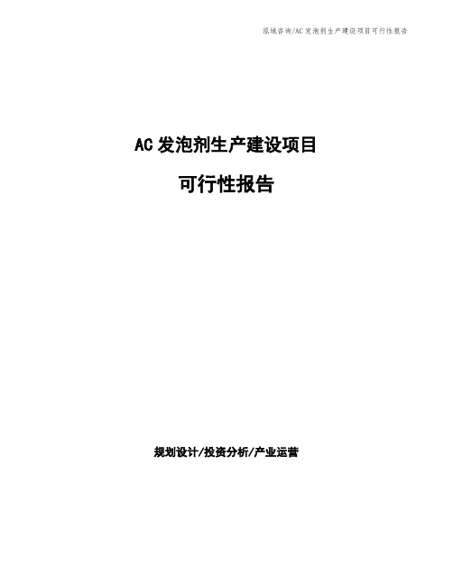 AC发泡剂生产建设项目可行性报告