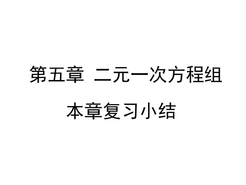 北师大版八年级上册第五章二元一次方程组小结与复习