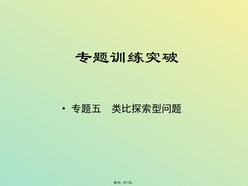 江西省中考数学专题复习 专题五 类比探索型问题课件(与“利用”相关文档)共11张PPT