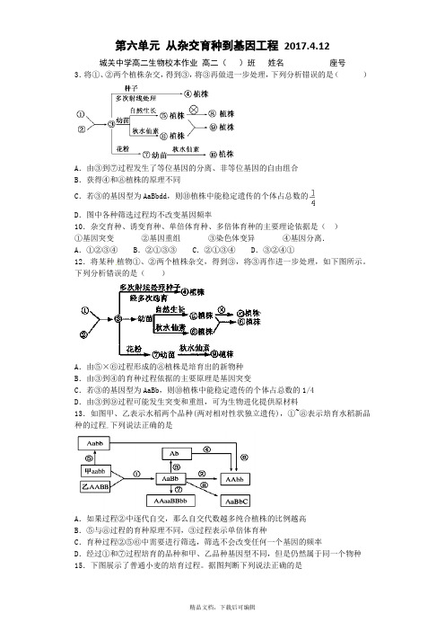 人教版必修二 从杂交育种到基因工程 单元测试(完整资料).doc