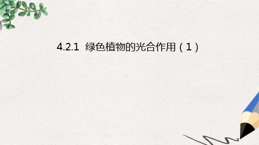 北京课改版七年级生物上册4.2绿色植物的光合作用课件1