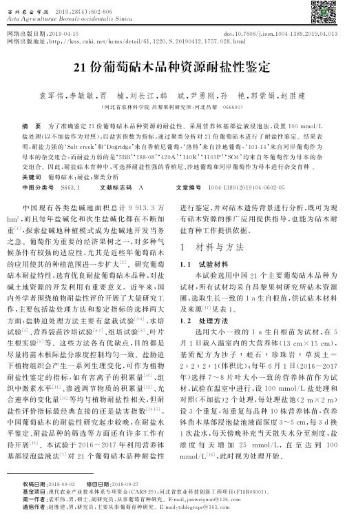 21份葡萄砧木品种资源耐盐性鉴定