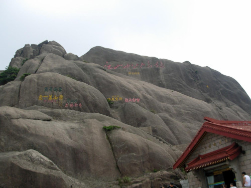黄山奇松课件
