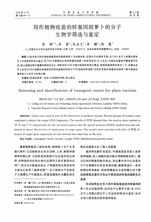 用作植物疫苗的转基因胡萝卜的分子生物学筛选与鉴定