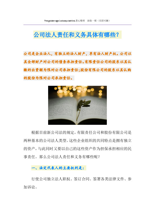 公司法人责任和义务具体有哪些？