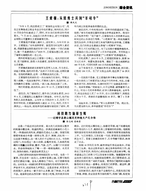 王爱强：从优秀士兵到“羊司令”
