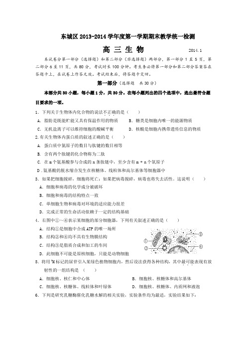 北京市东城区2014届高三上学期期末考试生物Word版含答案