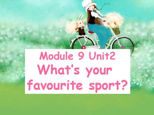 《What’s your favourite sport》课件
