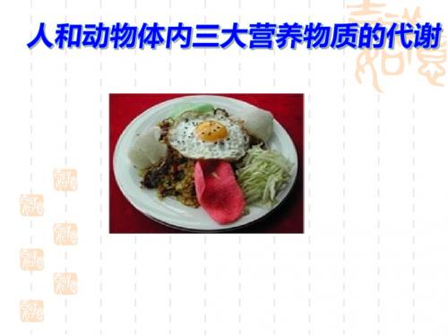 人和动物体内三大营养物质的代谢ppt2 人教课标版