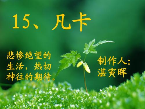 《凡卡》课件ppt