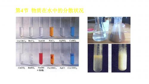 浙教版八年级上册科学物质在水中的分散状况