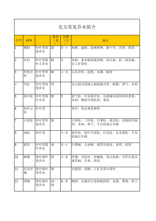 北方常用乔木