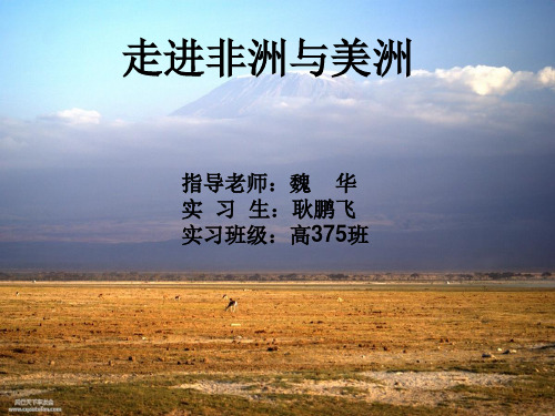 走进非洲与美洲课件ppt