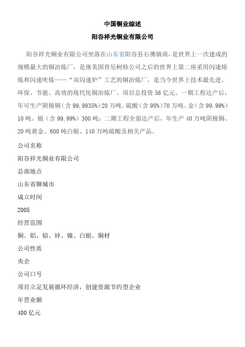 中国铜业综述